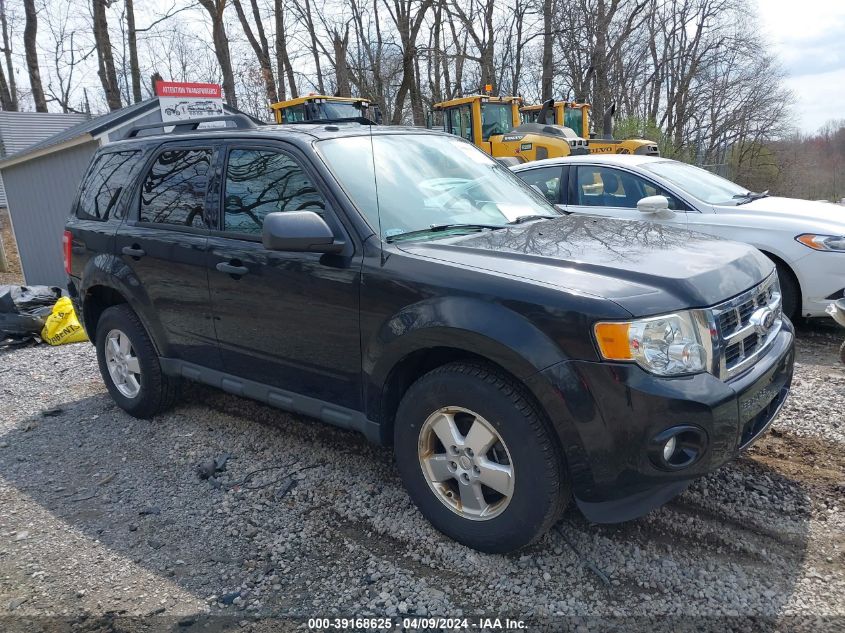 2012 FORD ESCAPE XLT