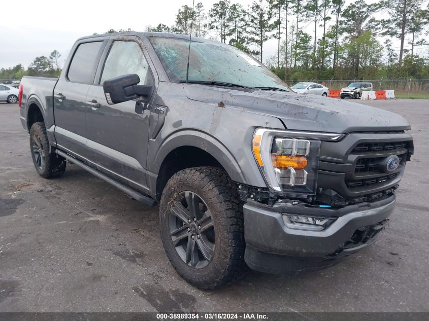 2023 FORD F-150 XLT