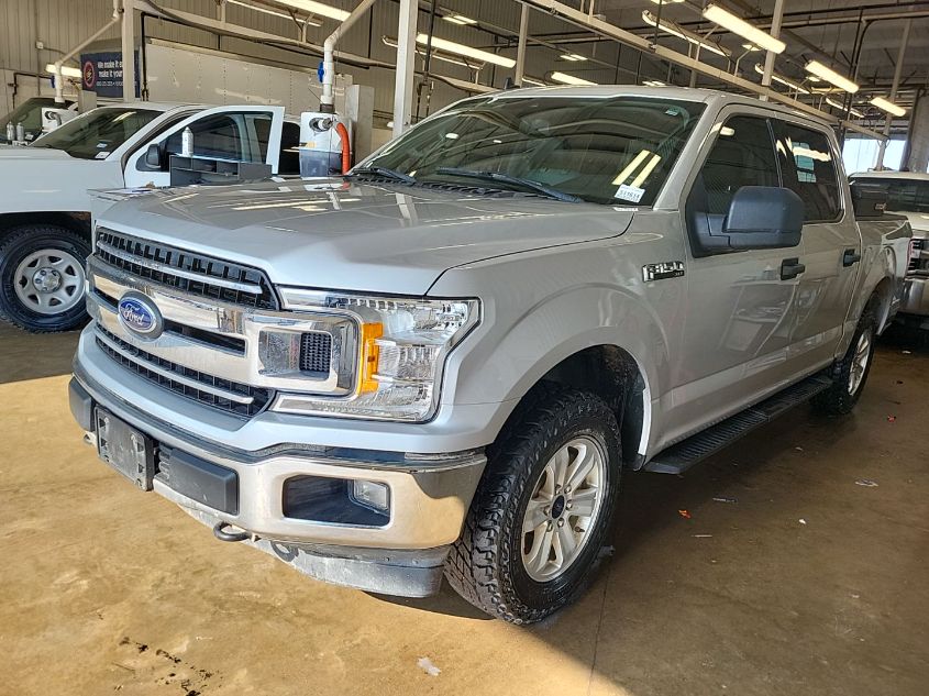 2019 FORD F-150 XLT