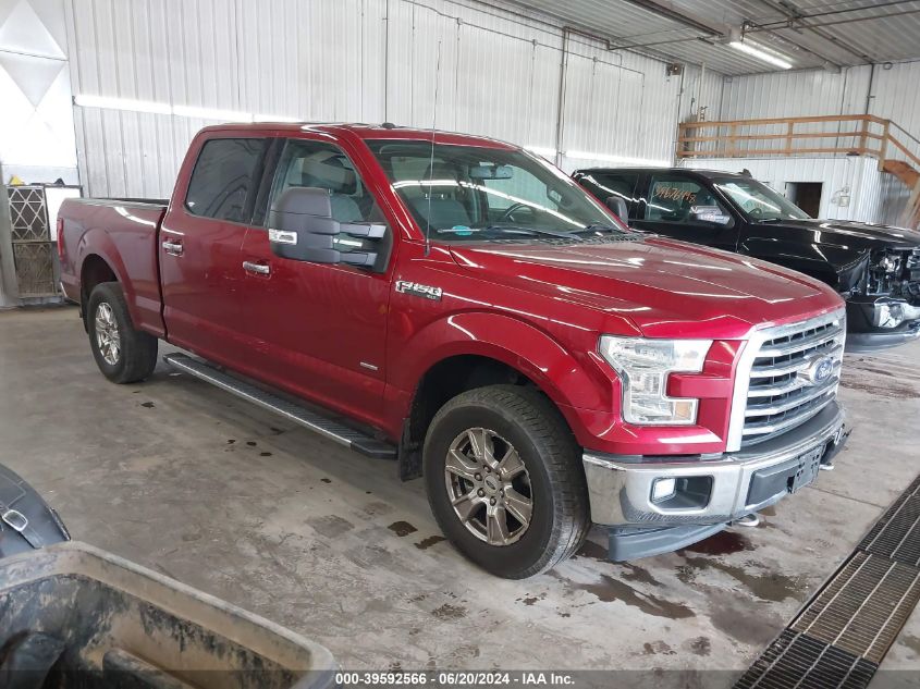 2017 FORD F-150 XLT