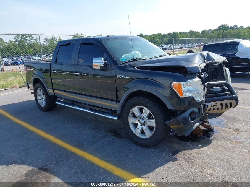 2010 FORD F-150 FX4/HARLEY-DAVIDSON/KING RANCH/LARIAT/PLATINUM/XL/XLT