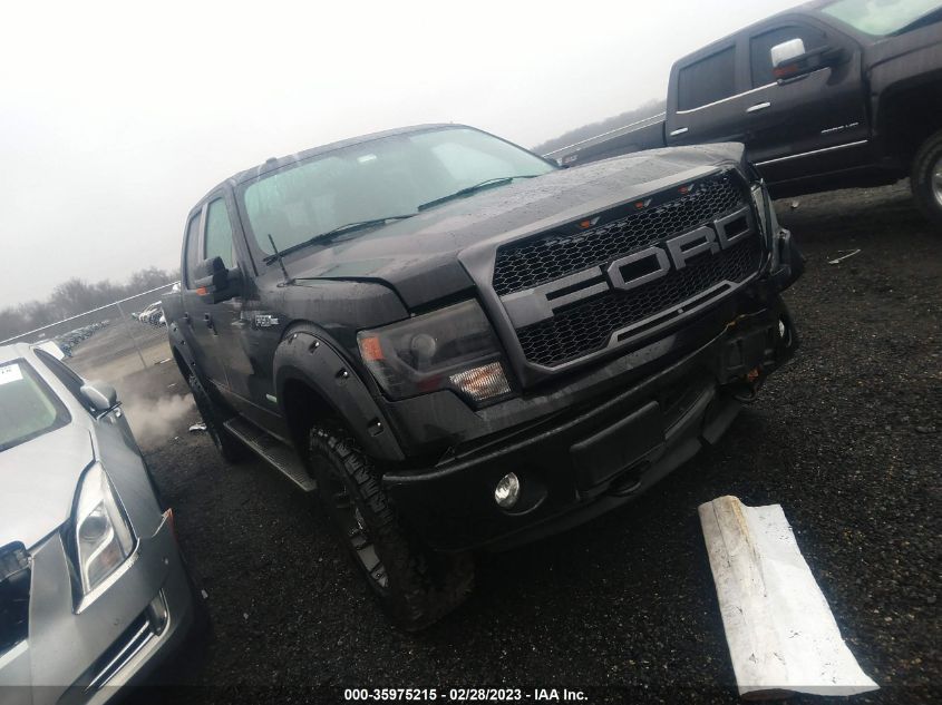 2014 FORD F-150 FX4