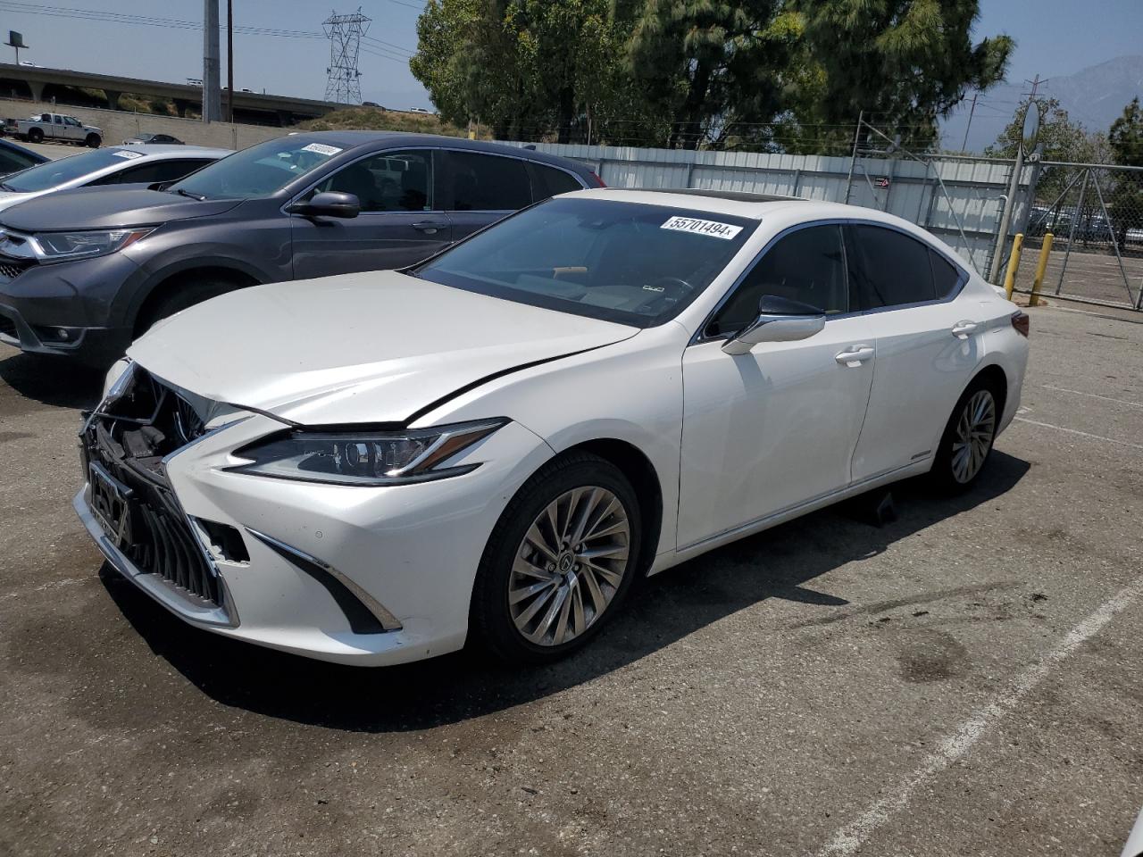 2019 LEXUS ES 300H