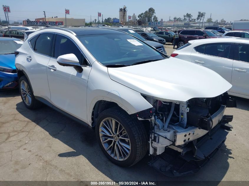 2023 LEXUS NX 350H LUXURY