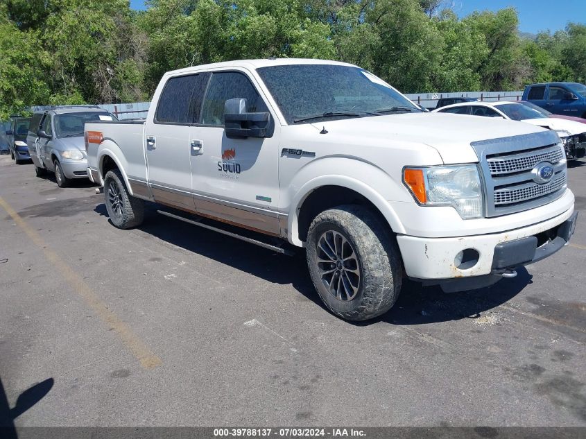 2012 FORD F-150 PLATINUM