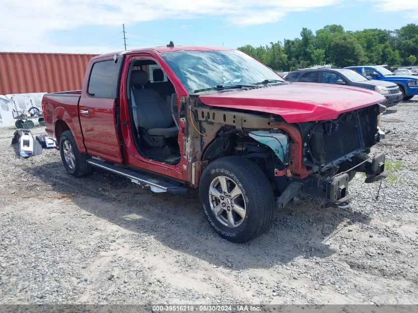 2019 FORD F-150 XLT