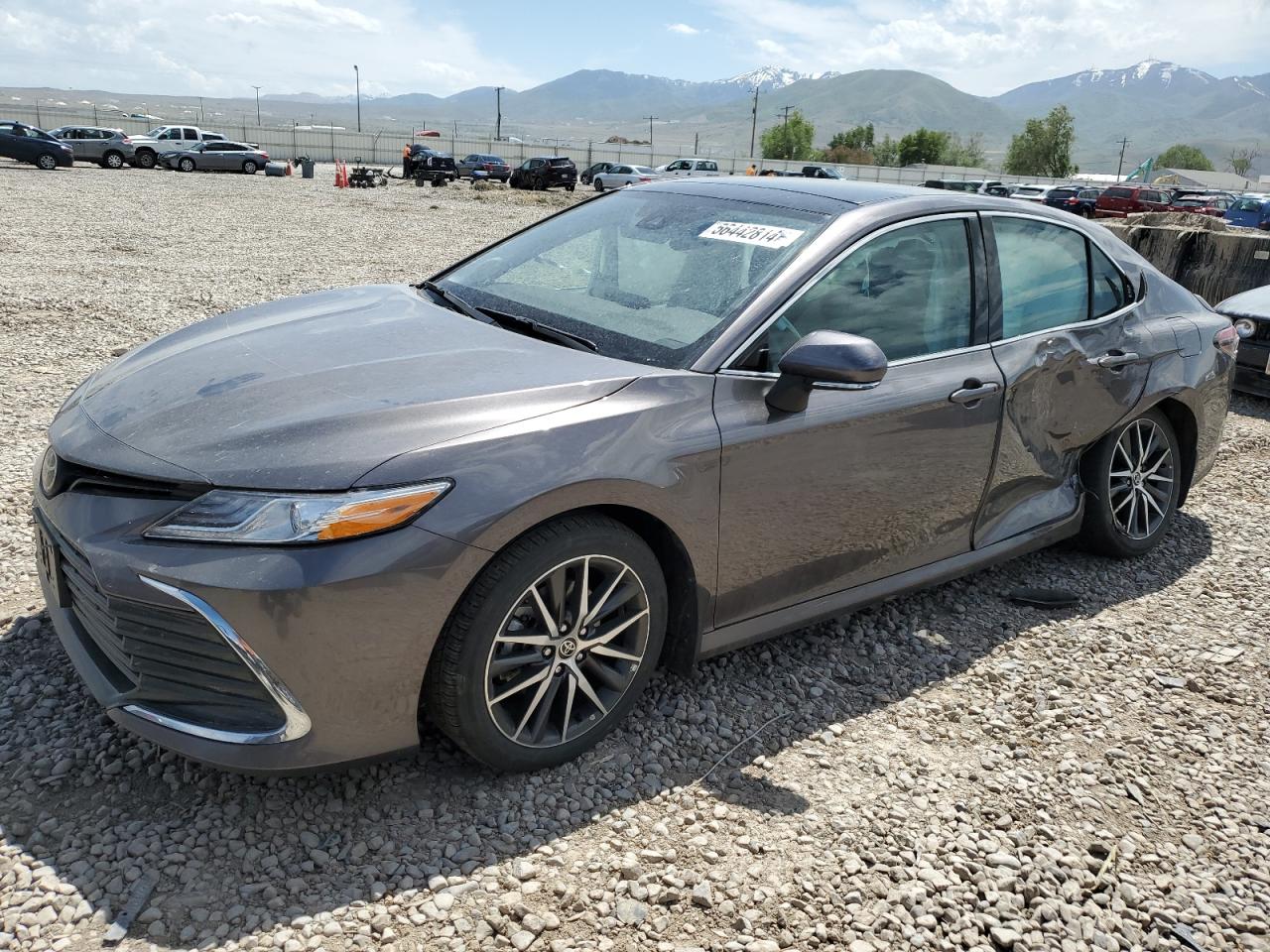 2023 TOYOTA CAMRY XLE