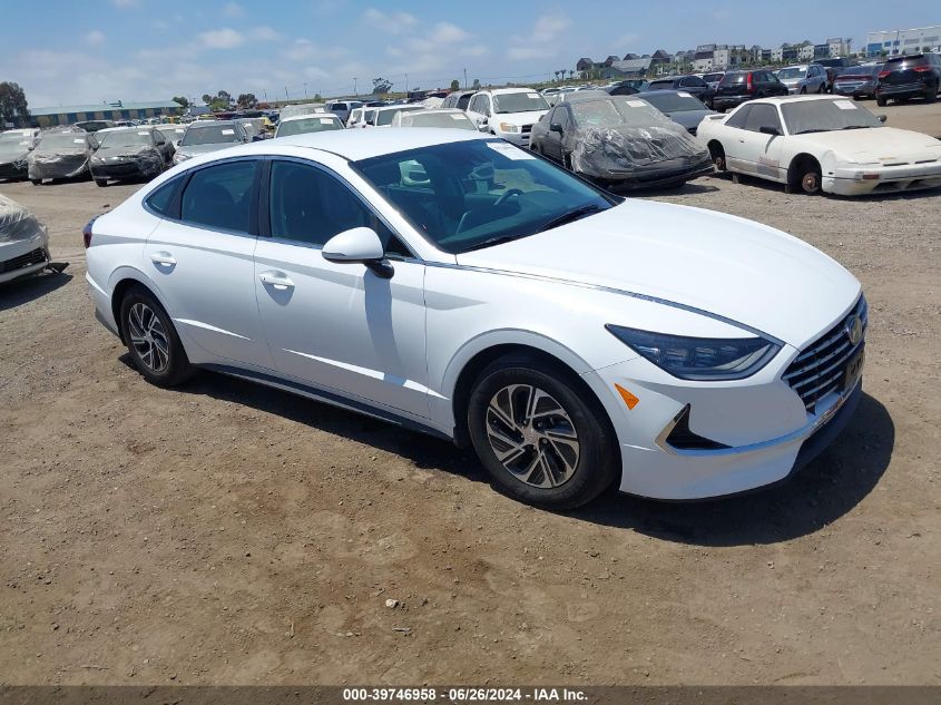 2023 HYUNDAI SONATA HYBRID BLUE