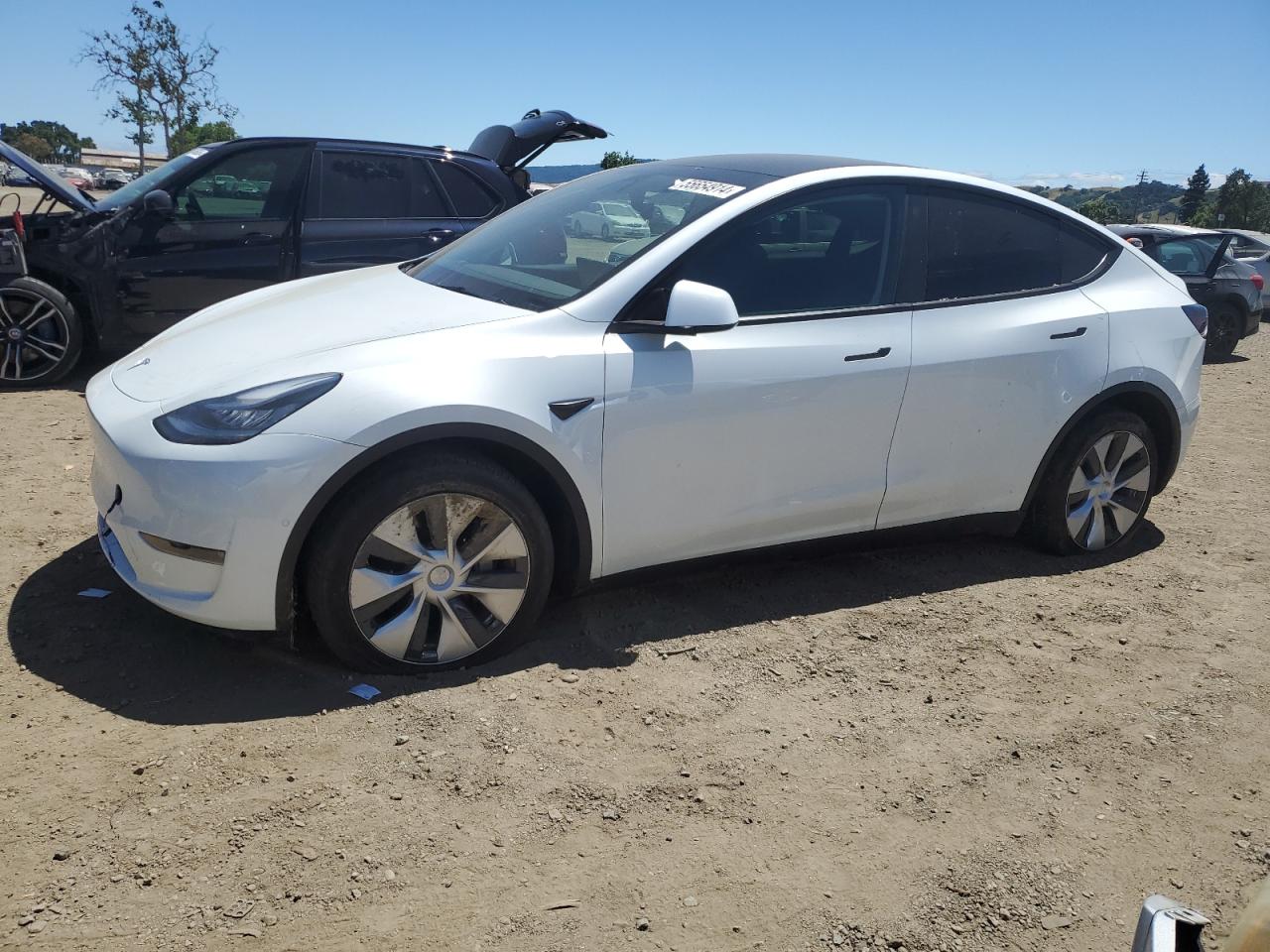 2021 TESLA MODEL Y