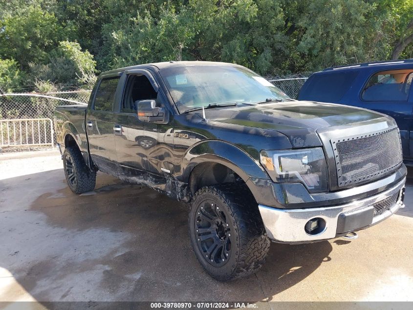 2013 FORD F-150 XLT