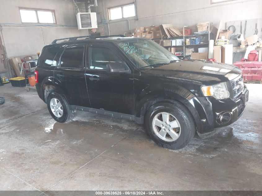 2010 FORD ESCAPE XLT