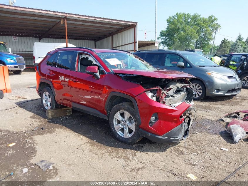 2019 TOYOTA RAV4 XLE