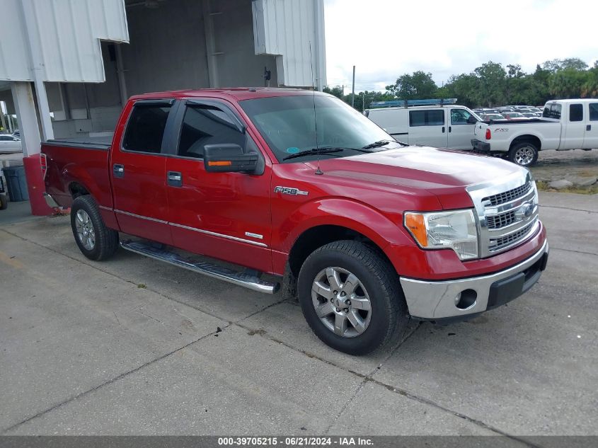 2014 FORD F-150 XLT