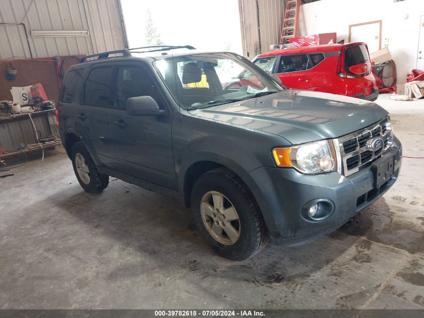 2010 FORD ESCAPE XLT