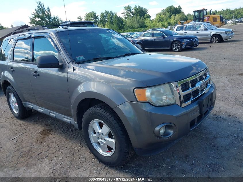 2010 FORD ESCAPE XLT