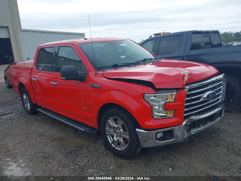 2015 FORD F-150 XLT