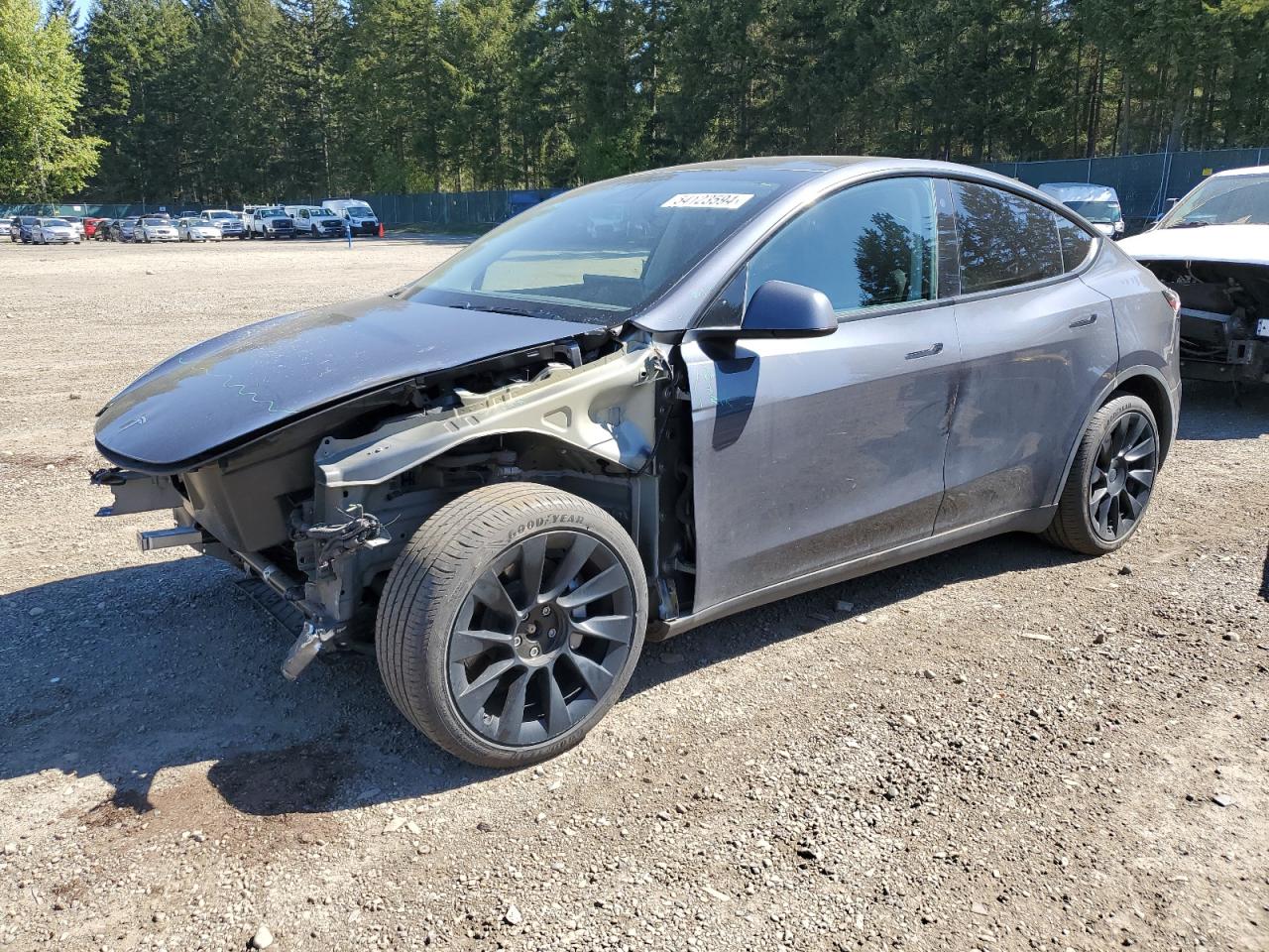 2021 TESLA MODEL Y