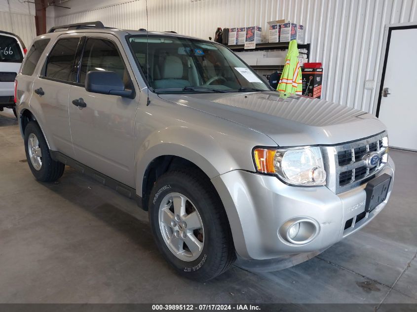 2010 FORD ESCAPE XLT