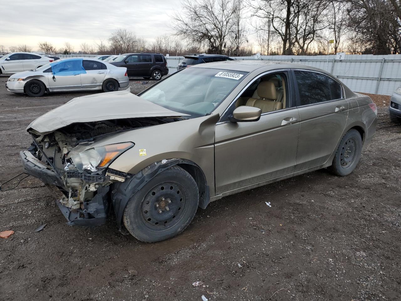 2010 HONDA ACCORD EXL