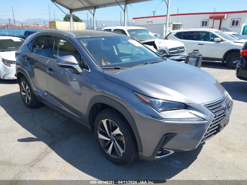 2021 LEXUS NX 300H