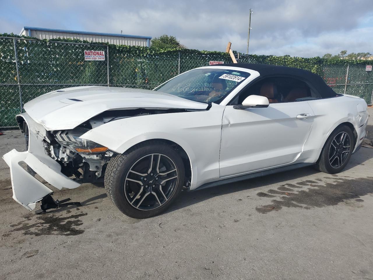 2019 FORD MUSTANG