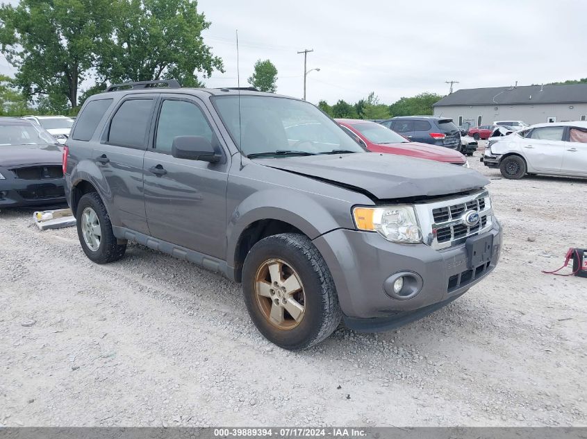 2011 FORD ESCAPE XLT