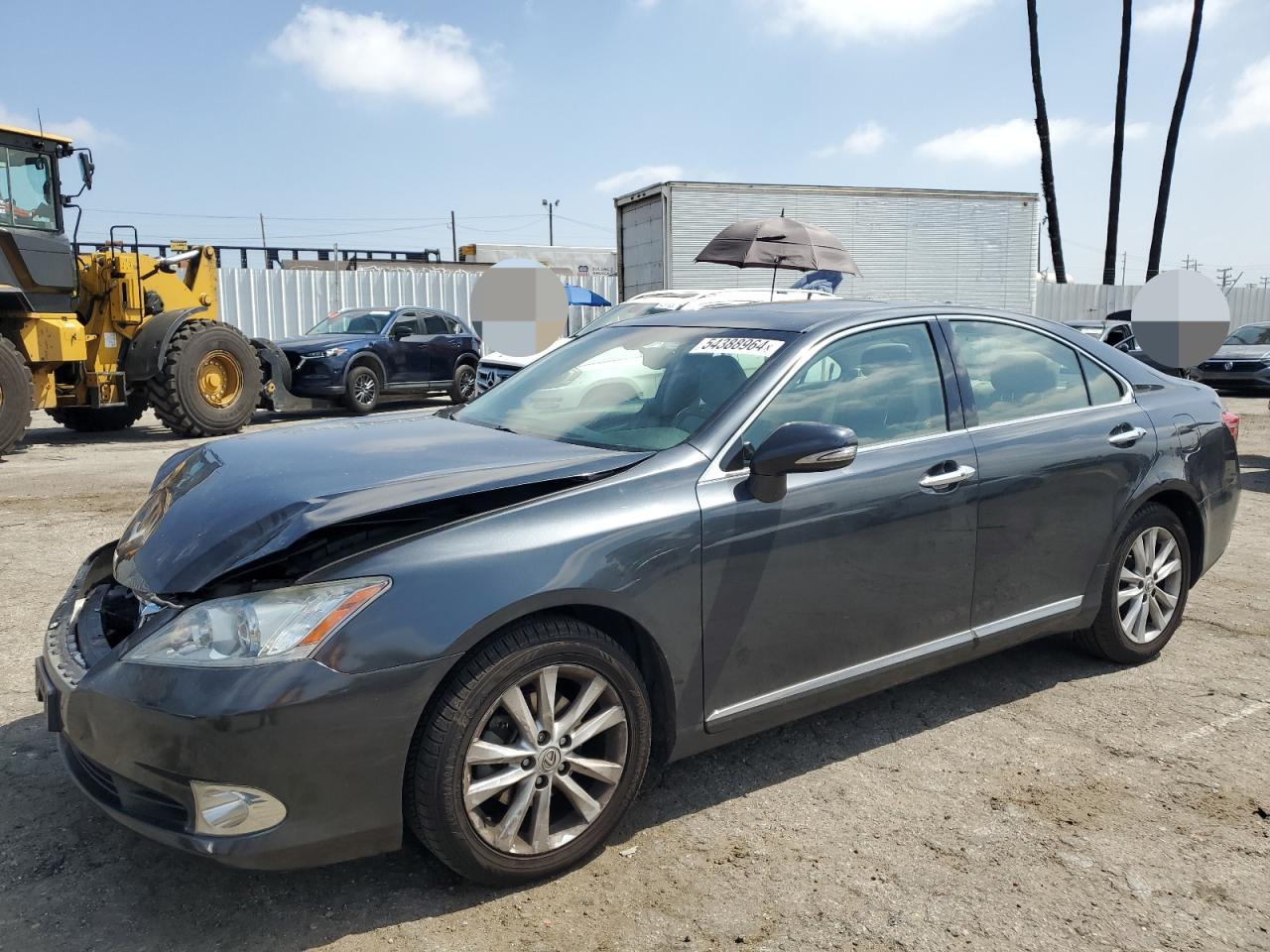 2010 LEXUS ES 350