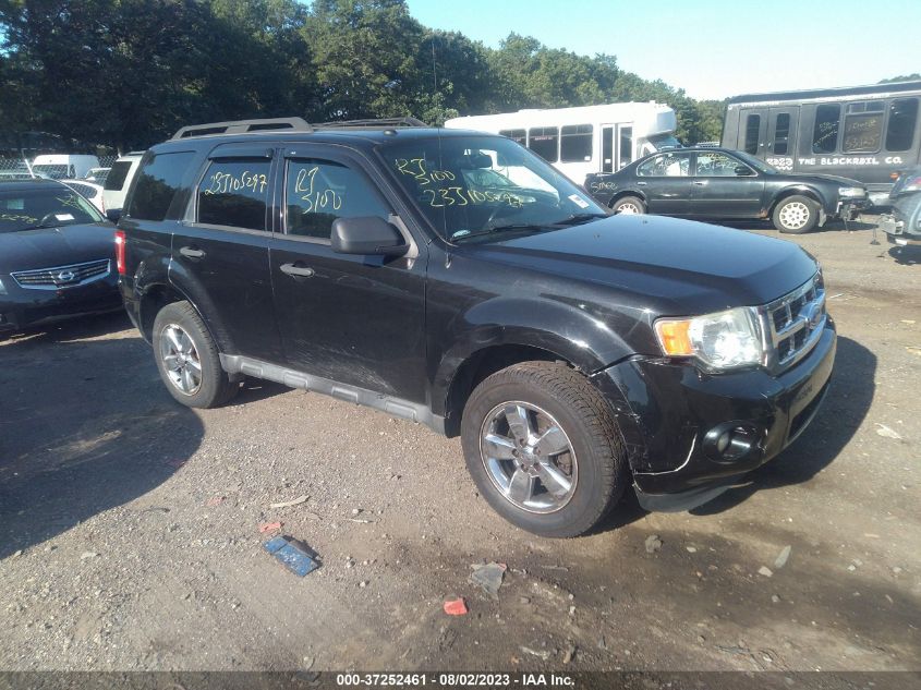 2011 FORD ESCAPE XLT