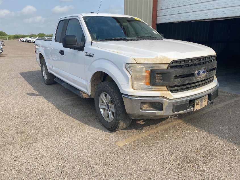 2019 FORD F-150 XL