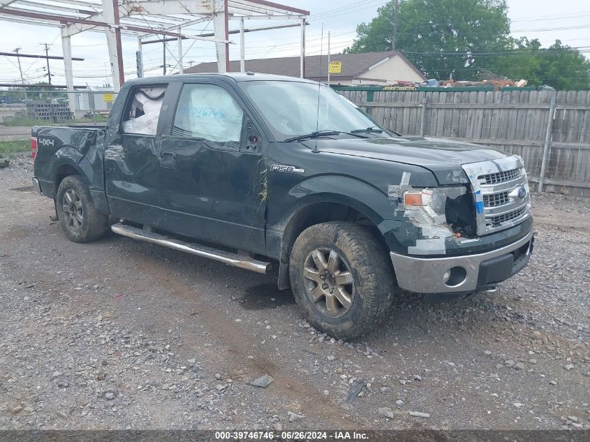 2014 FORD F-150 XLT