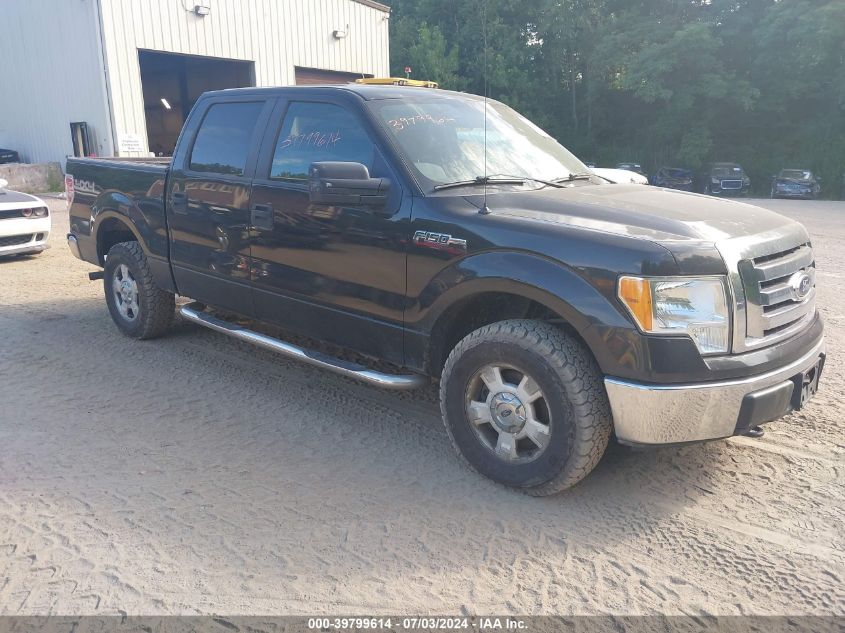 2010 FORD F-150 XL/XLT