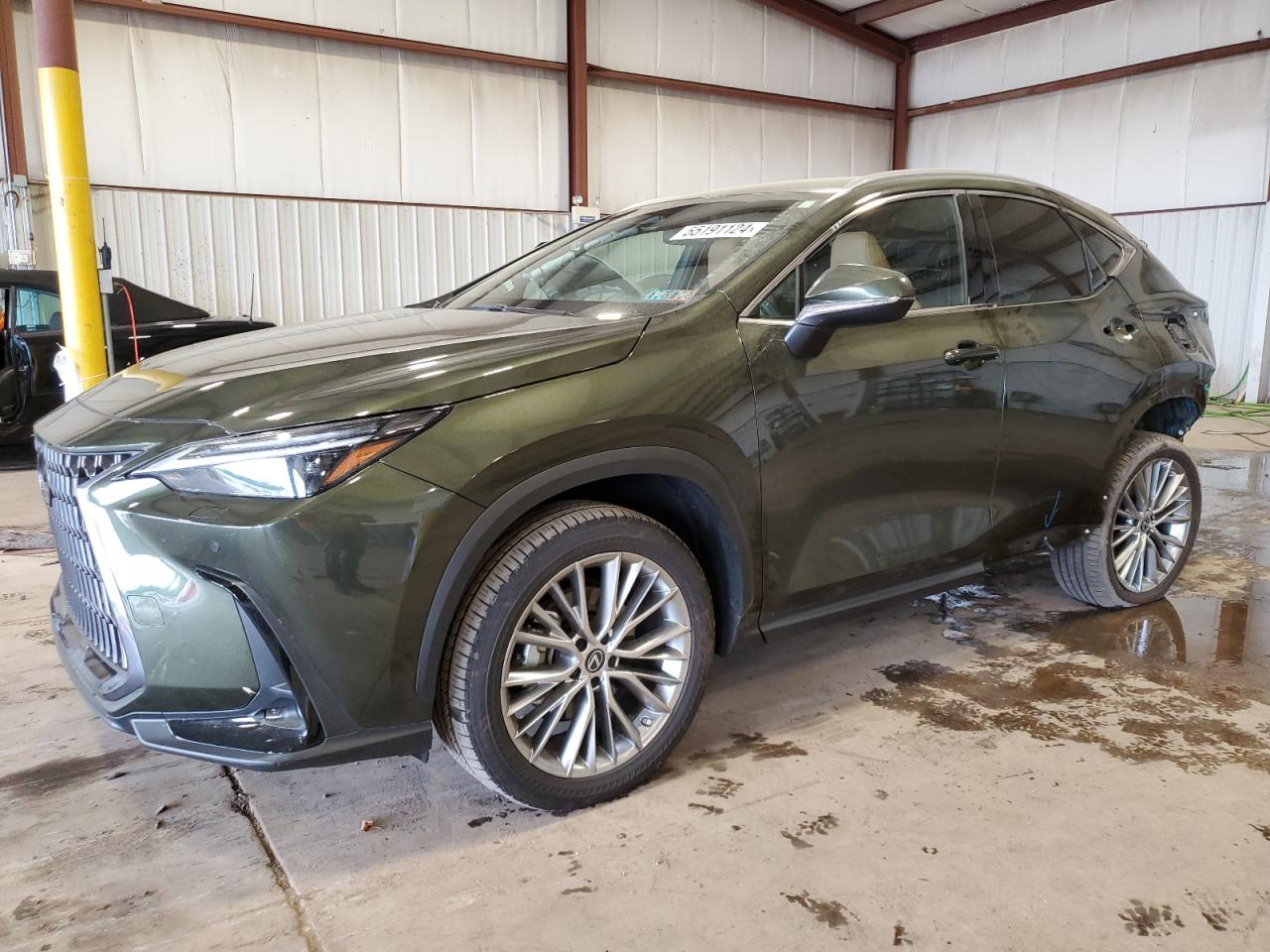 2023 LEXUS NX 350