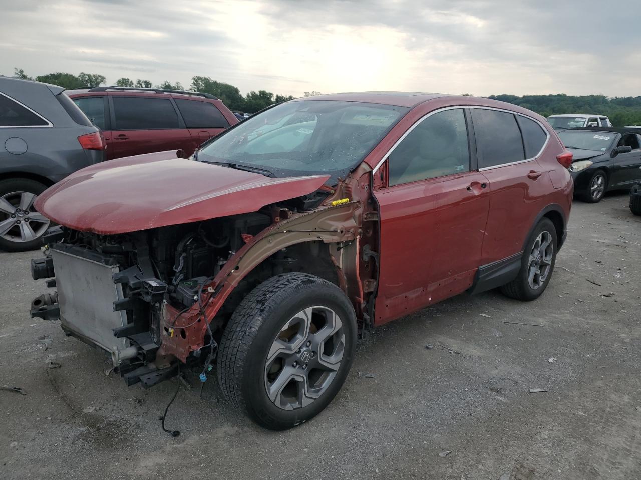 2019 HONDA CR-V EXL