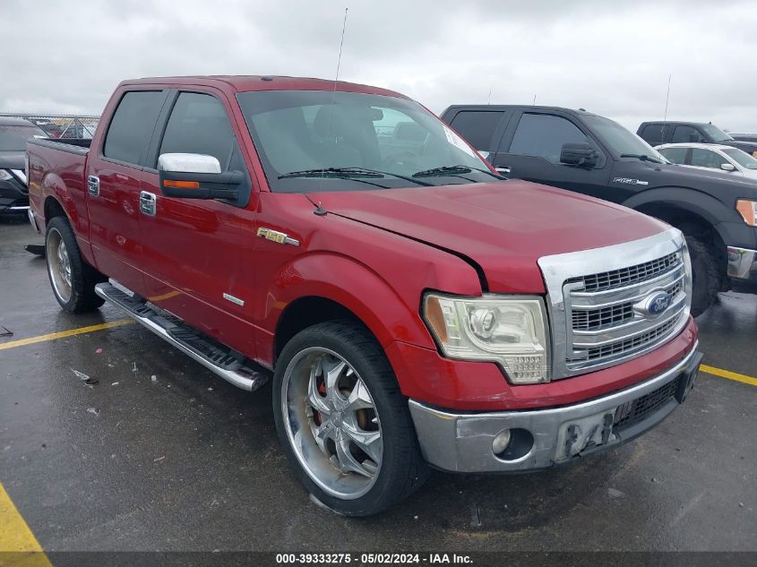 2013 FORD F-150 XLT