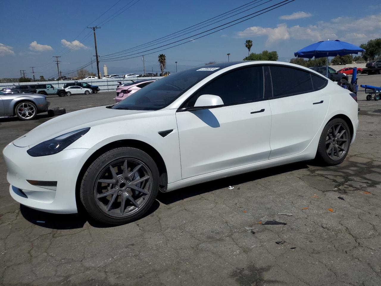 2023 TESLA MODEL 3