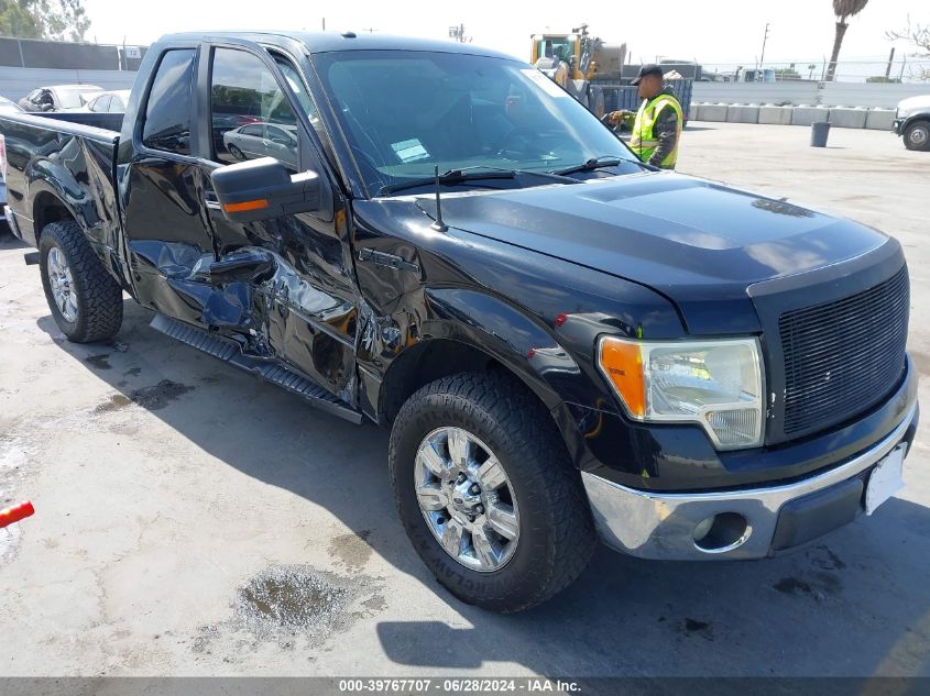 2011 FORD F-150 XLT