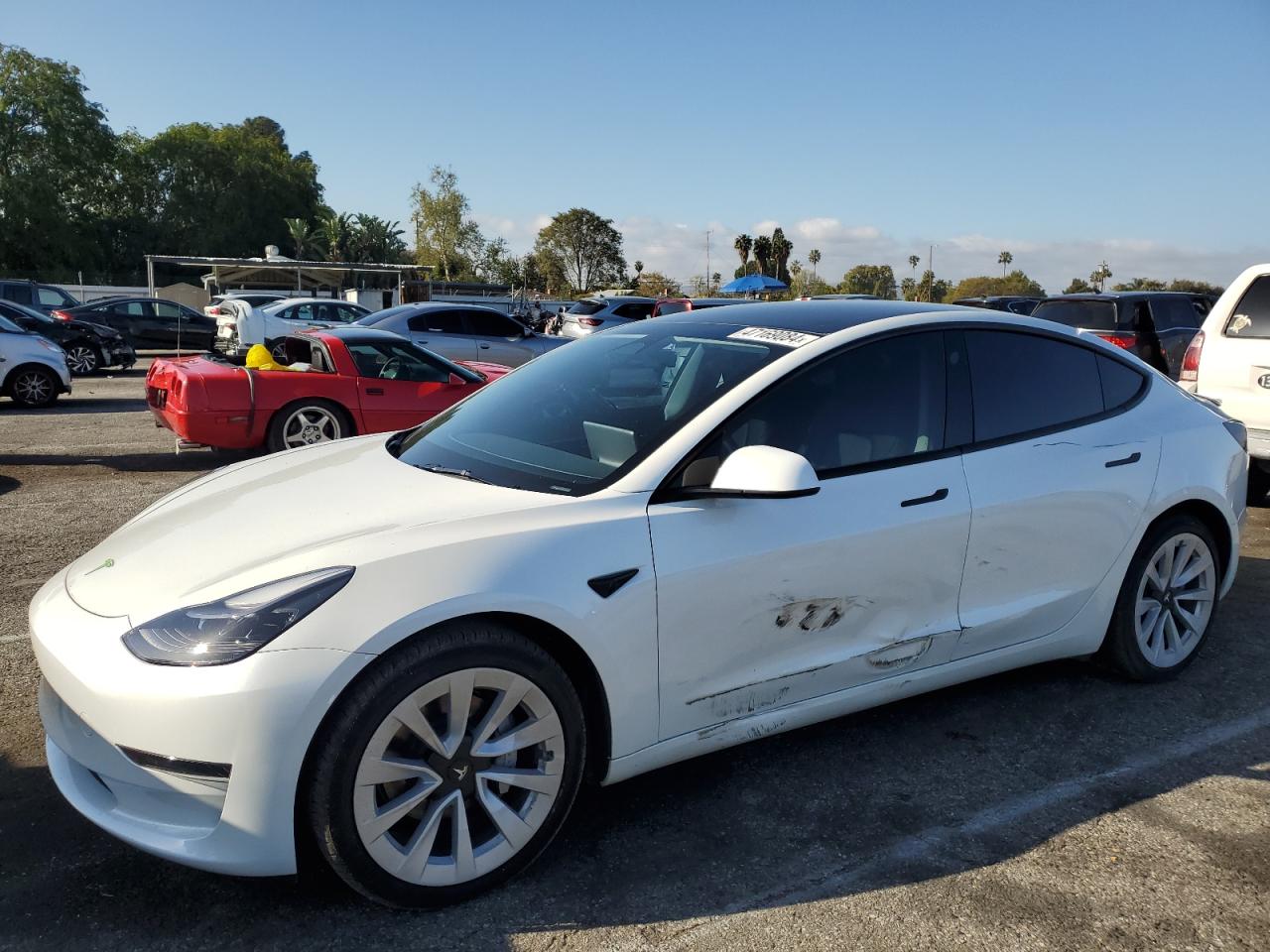 2023 TESLA MODEL 3