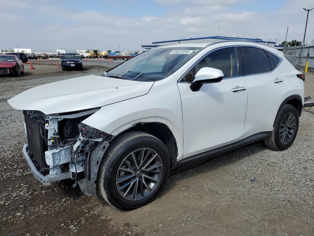 2024 LEXUS NX 350 BASE