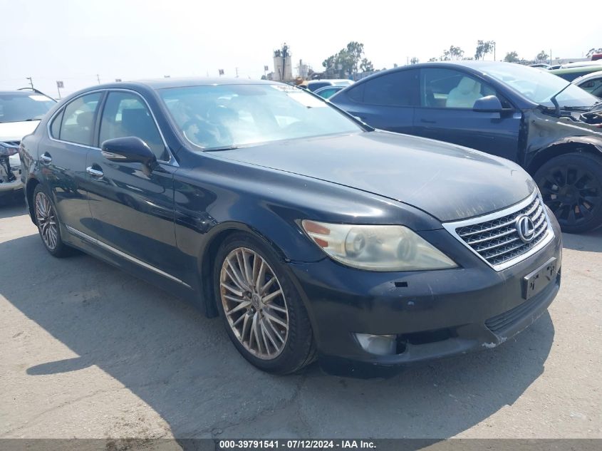 2010 LEXUS LS 460