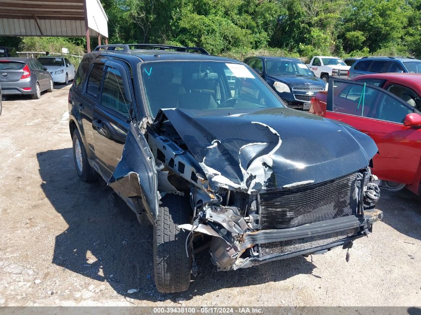 2012 FORD ESCAPE XLT