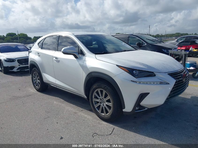 2019 LEXUS NX 300 300 BASE/300 F-SPORT