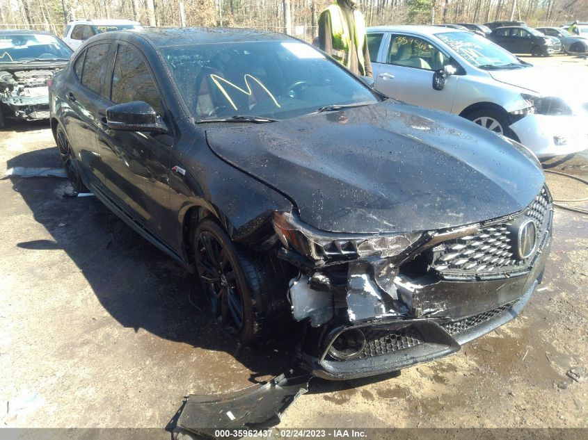 2019 ACURA TLX TECH & A-SPEC PKGS