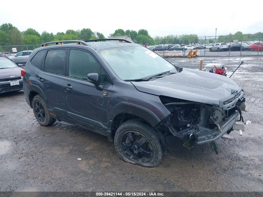 2024 SUBARU FORESTER WILDERNESS