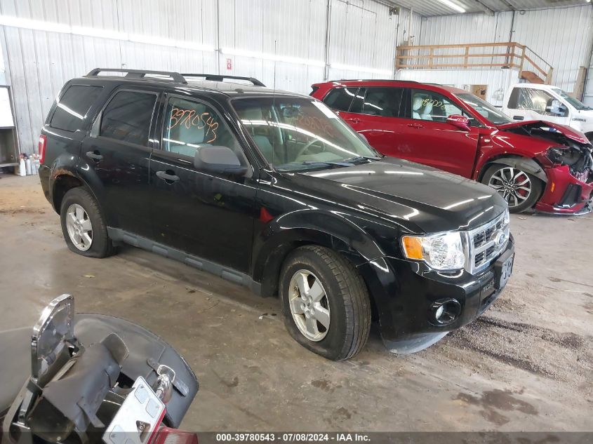 2010 FORD ESCAPE XLT