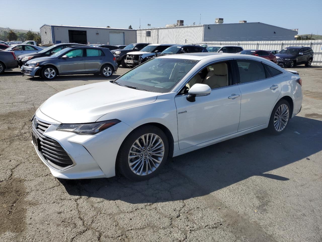 2019 TOYOTA AVALON XLE