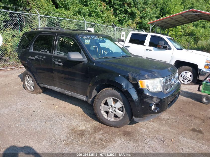 2010 FORD ESCAPE XLT