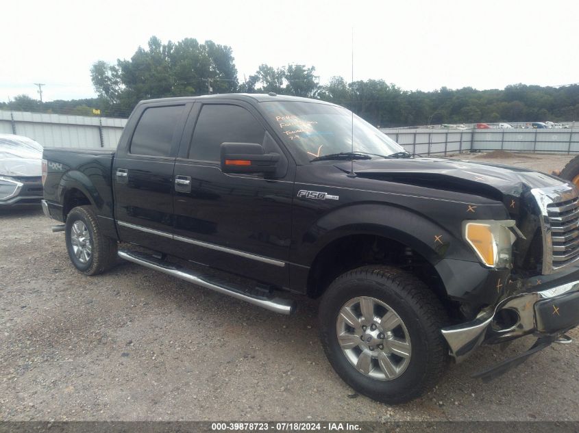 2010 FORD F-150 XL/XLT