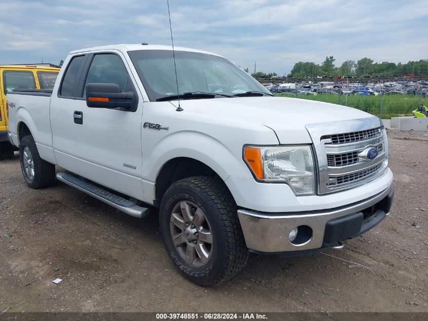 2013 FORD F-150 XLT