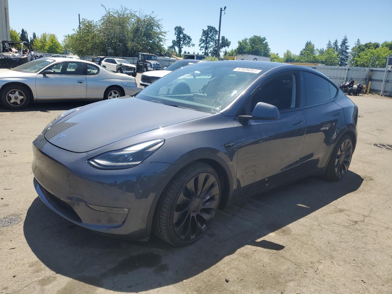 2023 TESLA MODEL Y