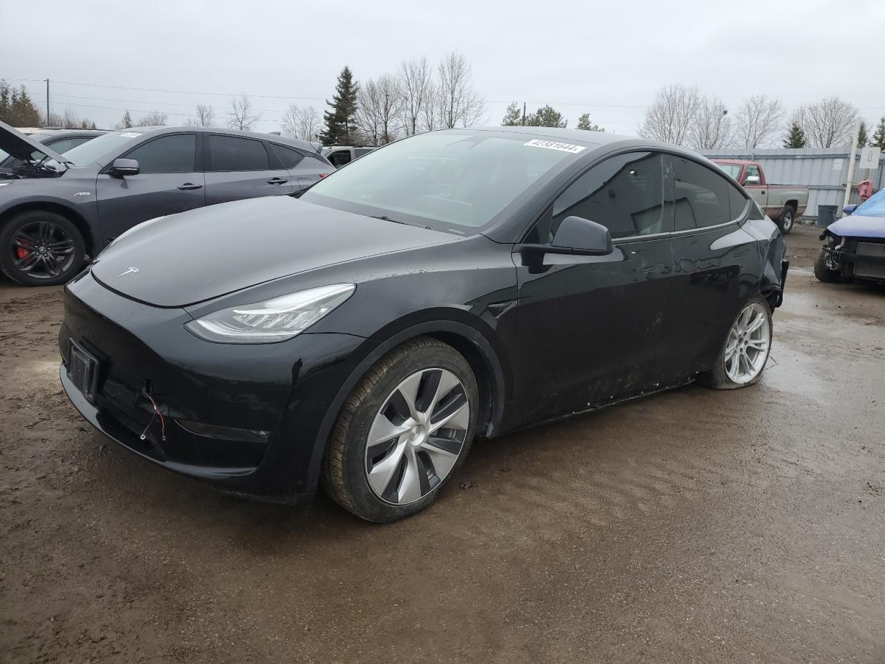 2022 TESLA MODEL Y